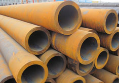 �o�p䓹�؛��չʾ