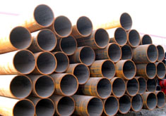 �o�p䓹�؛��չʾ